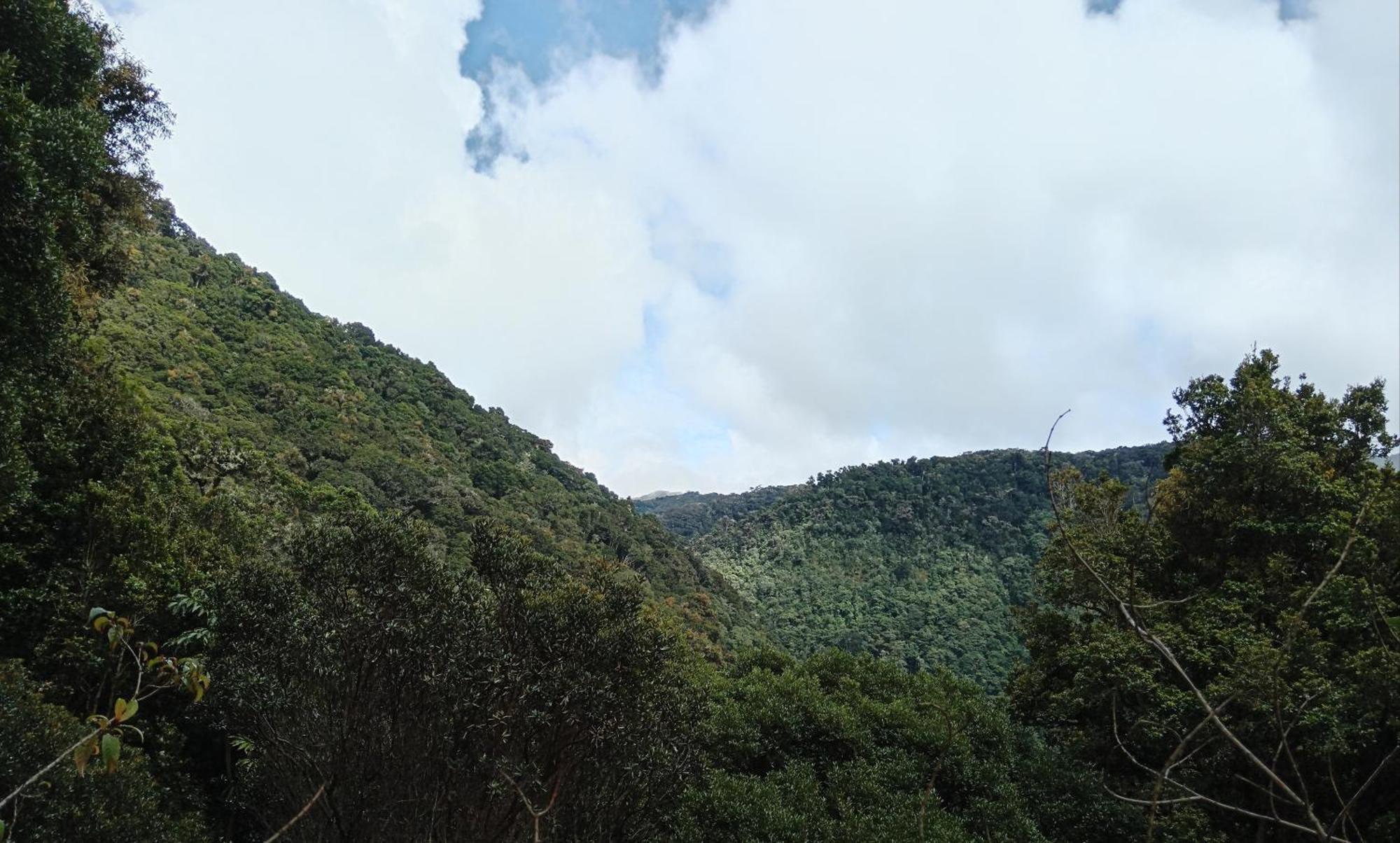 Miriam'S Quetzals Lodge 산제라르도 데 도타 외부 사진