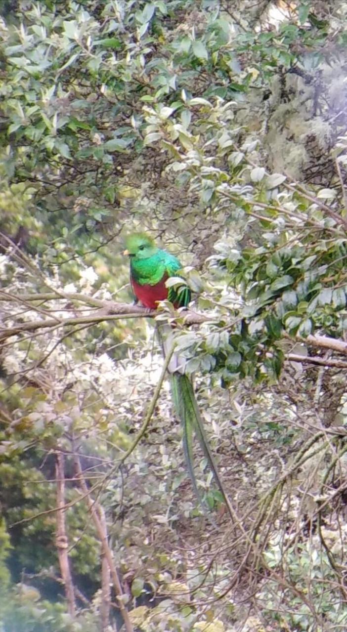 Miriam'S Quetzals Lodge 산제라르도 데 도타 외부 사진