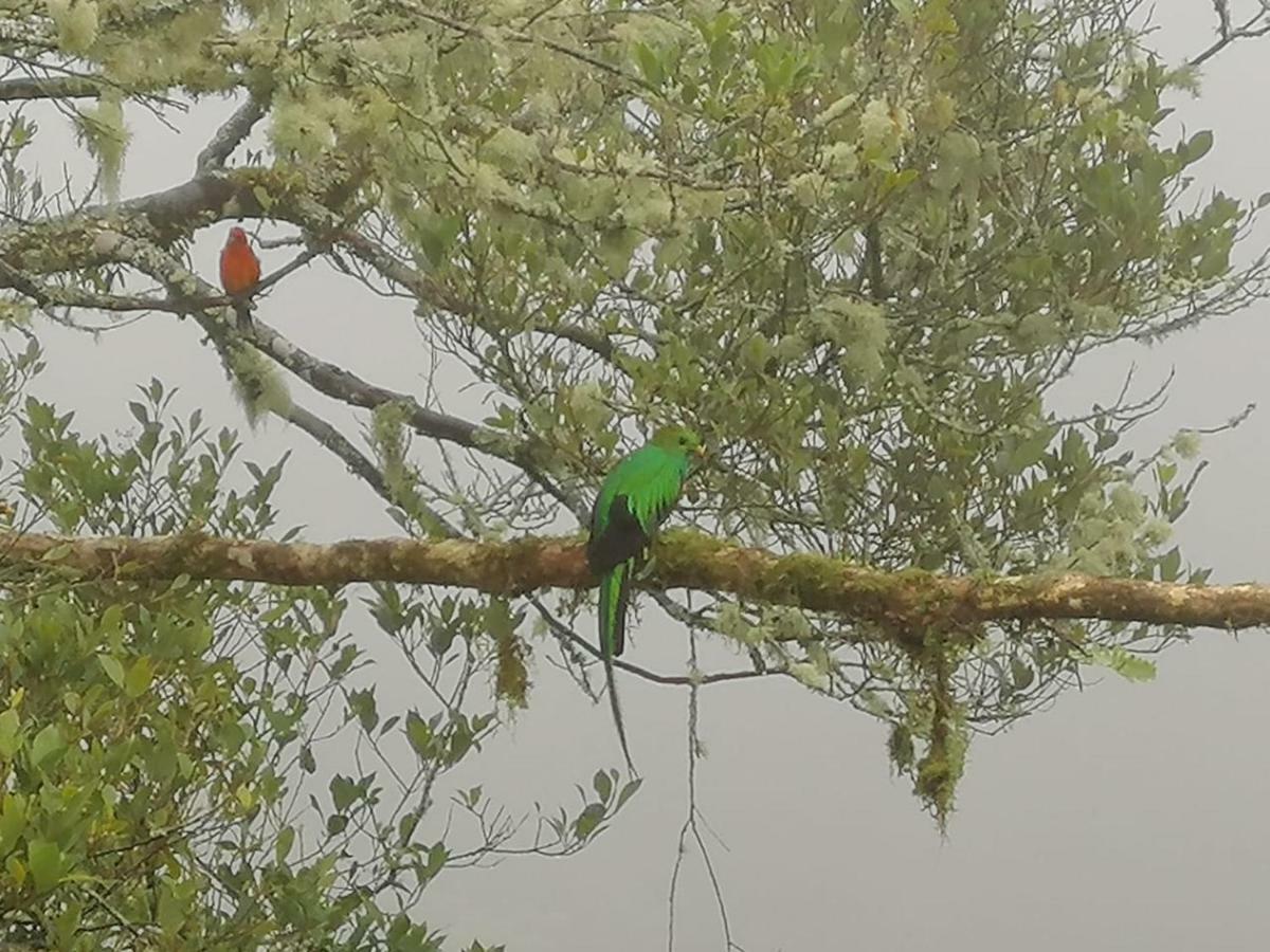 Miriam'S Quetzals Lodge 산제라르도 데 도타 외부 사진