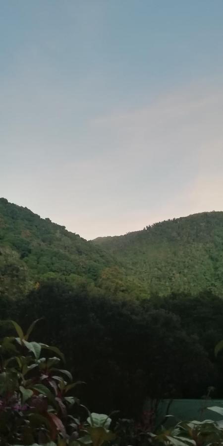 Miriam'S Quetzals Lodge 산제라르도 데 도타 외부 사진